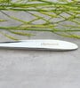 (Set Of 2) Silver Luxe 304 Food Grade Stainless Steel Silver Serving Spoon