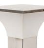 Servia Silver Metal Gate Light