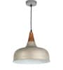 Erika Silver Metal Hanging Light