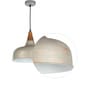 Erika Silver Metal Hanging Light
