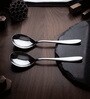 Set of 2 Silver Mirror Serving Spoons