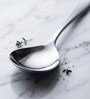 Set of 2 Silver Mirror Serving Spoons