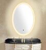 Silver Oval Shape LED Wall Mirror