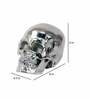 Silver Skull Aluminium Table Accent