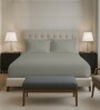 Silver Solid 400 TC Cotton Queen Sized Fitted sheet with 2 Pillow Covers