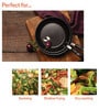 Merlot 8 Inch Non- Stick Maroon Aluminium Frying Pan