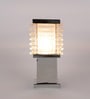 Shirley Silver Metal Gate Light