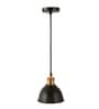 Simple Black Matt Metal Hanging Light