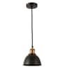 Simple Black Matt Metal Hanging Light