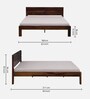 Simplicty Pure Sheesham Wood Queen Size Bed In Scratch Resistant Teak Finish