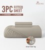 Simply Taupe Solid 400 TC Cotton Queen Sized Fitted sheet with 2 Pillow Covers