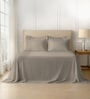 Simply Taupe Solid 600 TC Cotton Super King Sized Bedsheet with 4 Pillow Covers