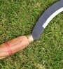 Single-Edge Sickle