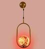Single Metal Novelty Wall Light (Gold)