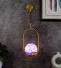Single Metal Novelty Wall Light (Gold)