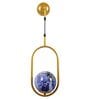 Single Metal Novelty Wall Light (Gold)