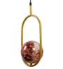 Single Metal Novelty Wall Light (Gold)