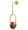 Single Metal Novelty Wall Light (Gold)