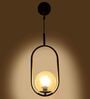 Single Metal Novelty Wall Light (Gold)