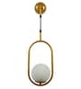 Single Metal Novelty Wall Light (Gold)