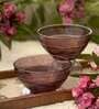Sirohi Shehtuti (Set of 2) 300ml Borosilicate Glass Dining Bowl