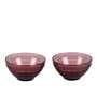 Sirohi Shehtuti (Set of 2) 300ml Borosilicate Glass Dining Bowl