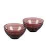 Sirohi Shehtuti (Set of 2) 300ml Borosilicate Glass Dining Bowl