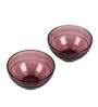 Sirohi Shehtuti (Set of 2) 300ml Borosilicate Glass Dining Bowl