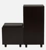 Sit & Stow 12-Pairs Shoe Cabinet In Wenge and White Finish With Seating