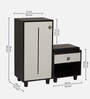 Sit & Stow 12-Pairs Shoe Cabinet In Wenge and White Finish With Seating