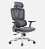 Sitology Executive Chair With Adjustable Headrest, Multiposition Armrest And Premium Mesh Backrest In Grey Color