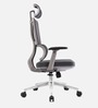 Sitology Executive Chair With Adjustable Headrest, Multiposition Armrest And Premium Mesh Backrest In Grey Color