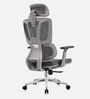 Sitology Executive Chair With Adjustable Headrest, Multiposition Armrest And Premium Mesh Backrest In Grey Color