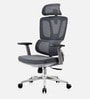 Sitology Executive Chair With Adjustable Headrest, Multiposition Armrest And Premium Mesh Backrest In Grey Color