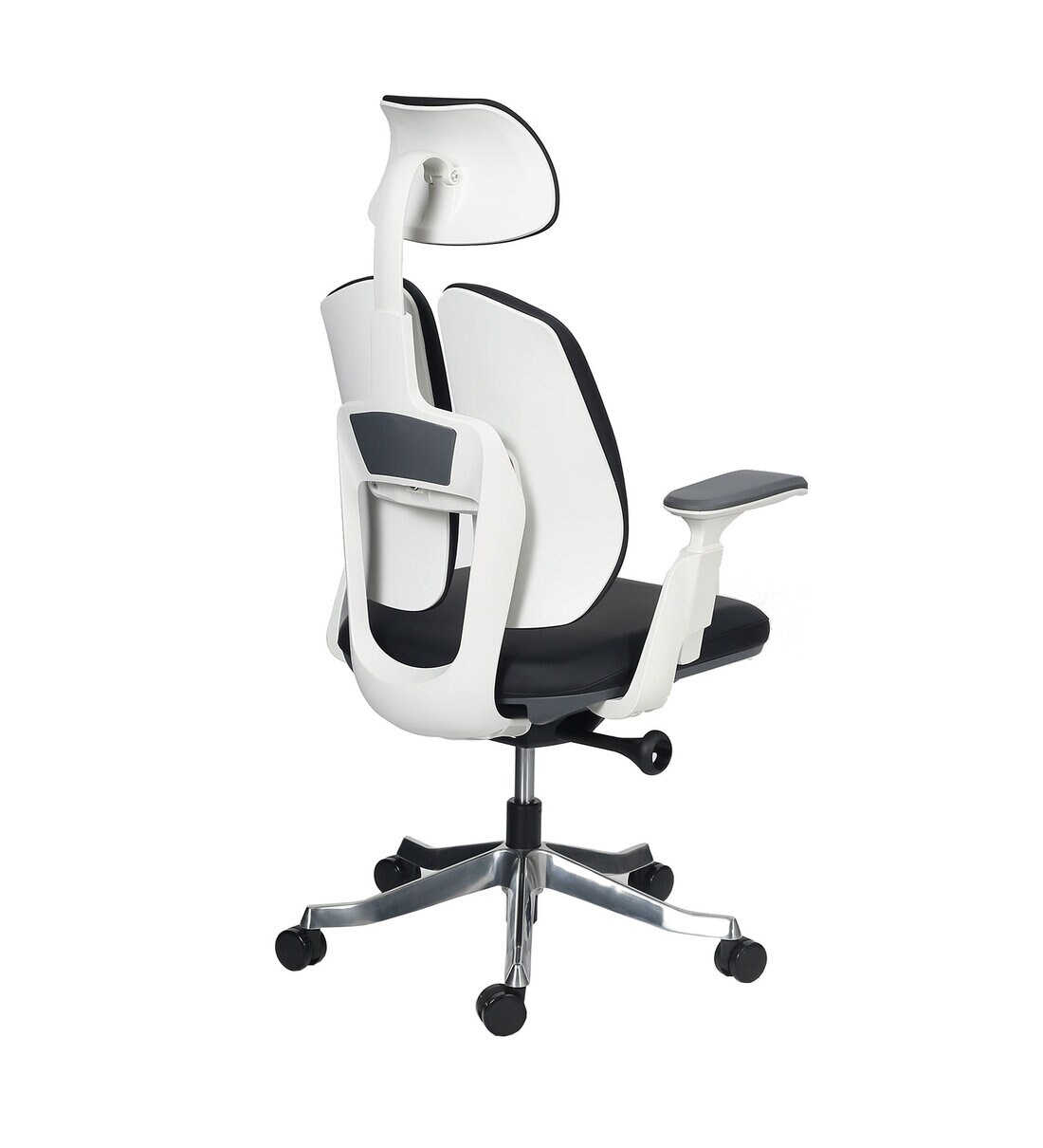 Buy Skyla High Back Executive Chair with Dual Backrest in White & Black