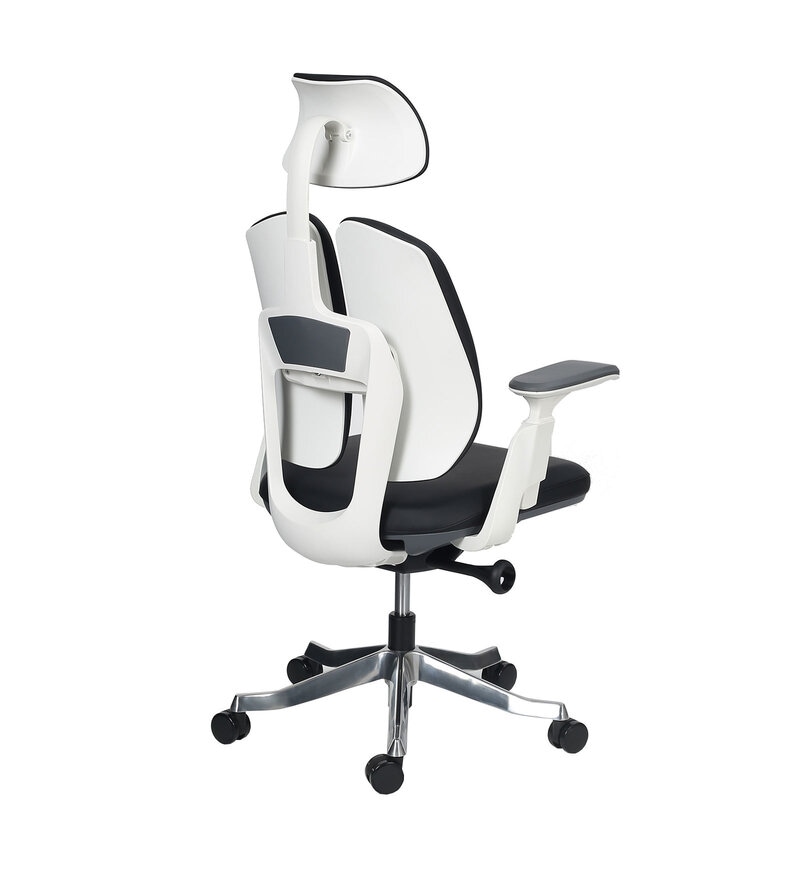 Buy Skyla High Back Executive Chair with Dual Backrest in White & Black ...