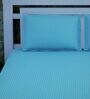 Sky Blue Stripes 280 TC Cotton King Sized Bed Sheets with 2 Pillow Covers
