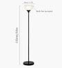 Black Sky Dome Standing Lamps with Acrylic Shade