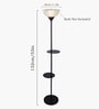 Black Sky Dome Standing Lamps with Acrylic Shade