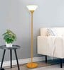 Sky Inverted Standing Lamps with Acrylic Shade, Modern Floor Lamp, Straight Gold