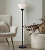 Sky Inverted Standing Lamps with Acrylic Shade,Modern Floor Lamp, Straight Black