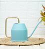 SkyBlue Metal 900 ml Watering Can