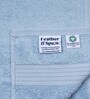 Skywave Blue 100% Organic Cotton Solid 550 GSM Hand Towels Pack of 2