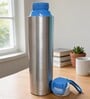 Blue Sleek Stainless Steel Fridge & Gym Bottle with Flip Top Cap & Strap, 700 ml