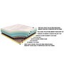 Sleep Sense 10 Inch Bonnell Spring & Latex Foam & Memory Foam Mattress In Queen Size