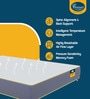 Sleepables Orthopedic 8 Inch Memory Foam & HR Foam mattress In Queen Size Inches