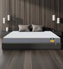 Sleepables Orthopedic 8 Inch Memory Foam & HR Foam mattress In Queen Size Inches