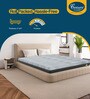 Sleepables Orthopedic With CertiPUR HiRez Foam 8 Inch Latex Single Mattress