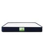 Dreamfresh Ortho Orthopedic 6 inch Memory Foam Queen Size Mattress