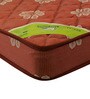 Regal 5 inch Coir Queen Size Mattress